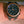 Blue Marble face Wooden Watch
